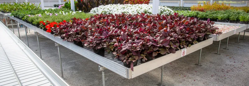 Horticultural Engineering