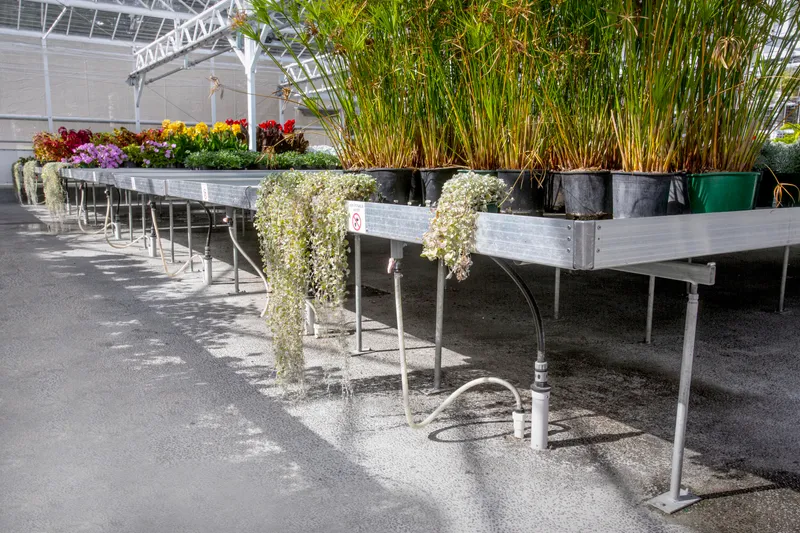 Nursery Greenhouse Benches